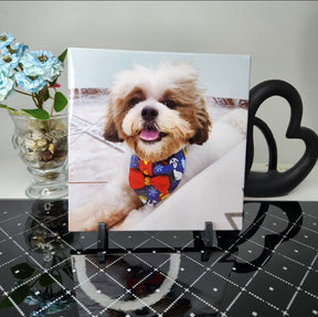 Crie o seu Azulejo Quadrado – 15x15cm – Azulejo decorativo personalizado